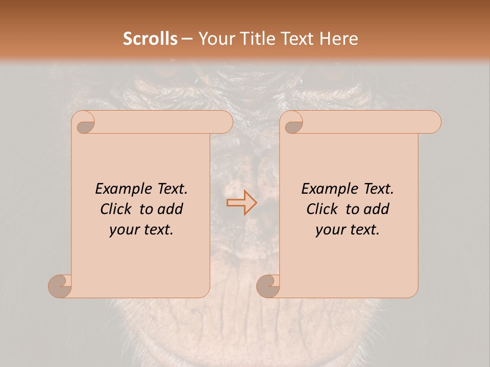 Close Up Cut Out Monkey PowerPoint Template