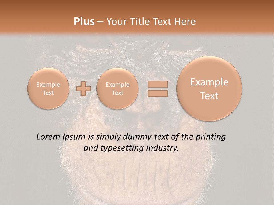 Close Up Cut Out Monkey PowerPoint Template