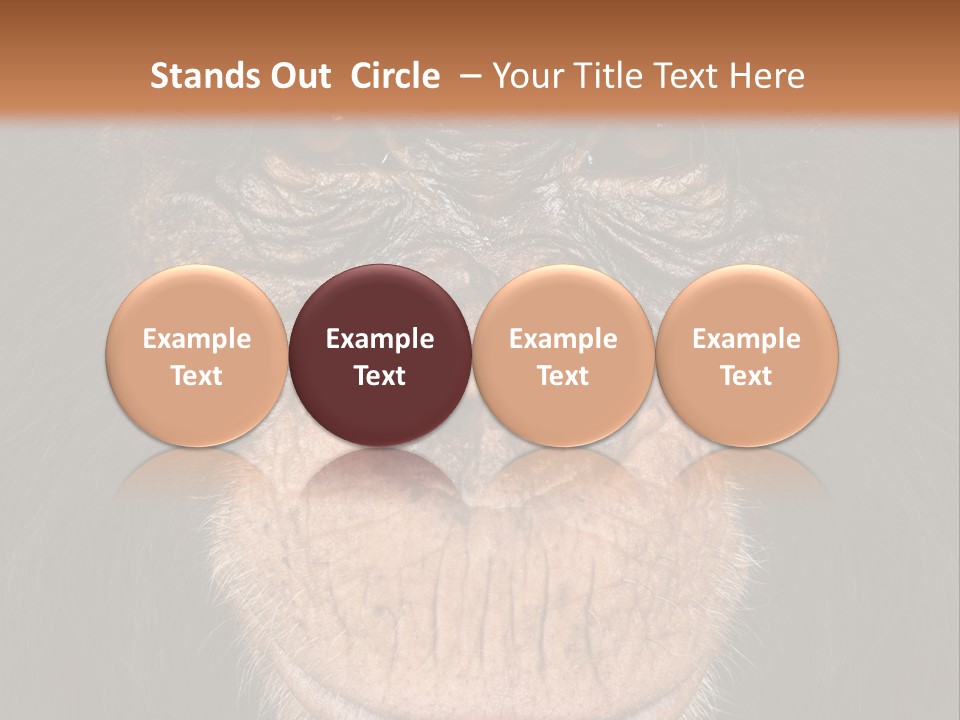 Close Up Cut Out Monkey PowerPoint Template
