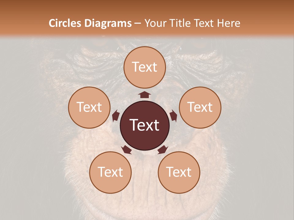 Close Up Cut Out Monkey PowerPoint Template