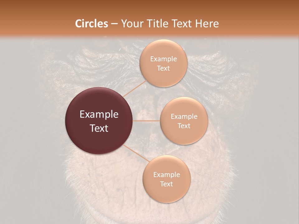 Close Up Cut Out Monkey PowerPoint Template