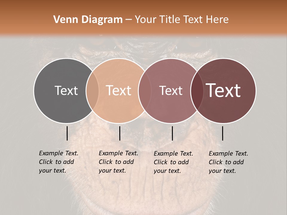 Close Up Cut Out Monkey PowerPoint Template