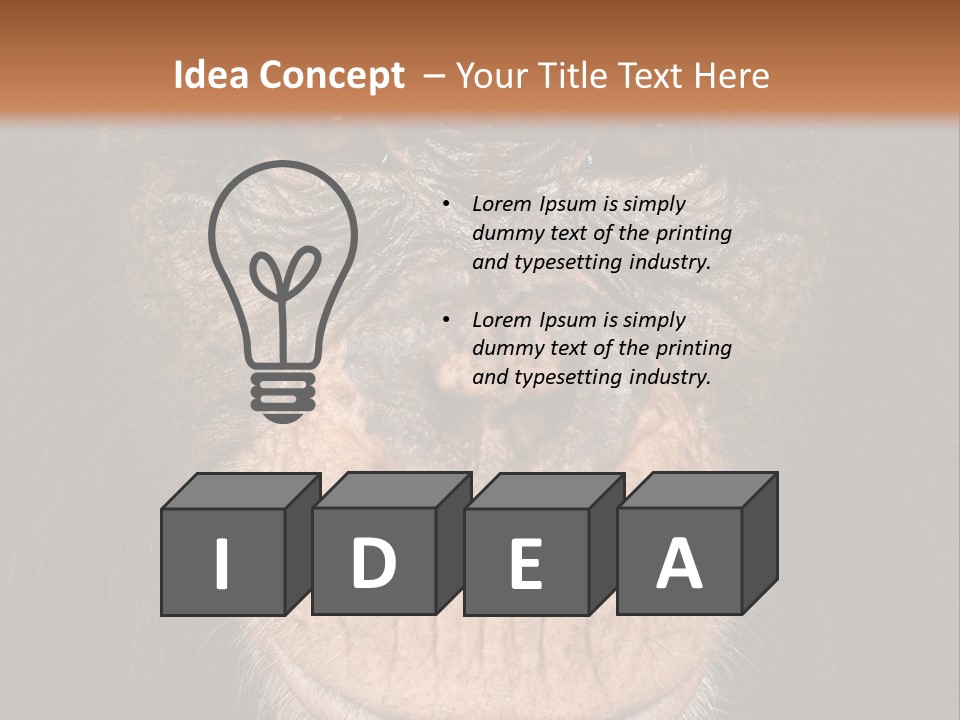 Close Up Cut Out Monkey PowerPoint Template