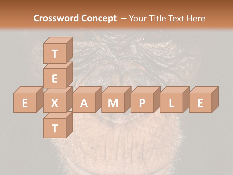 Close Up Cut Out Monkey PowerPoint Template