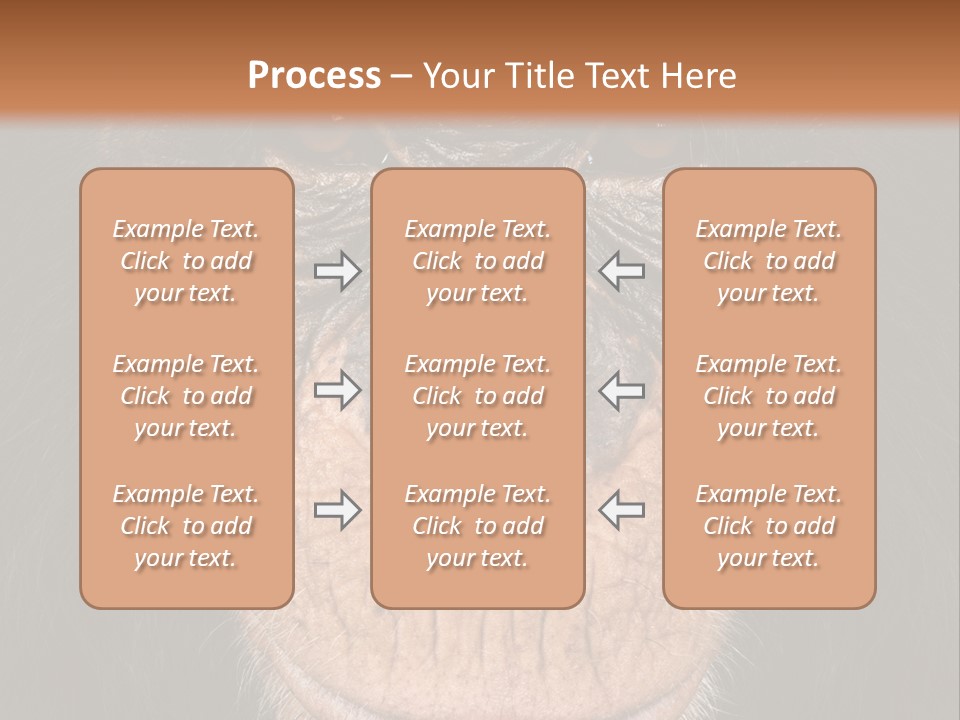 Close Up Cut Out Monkey PowerPoint Template