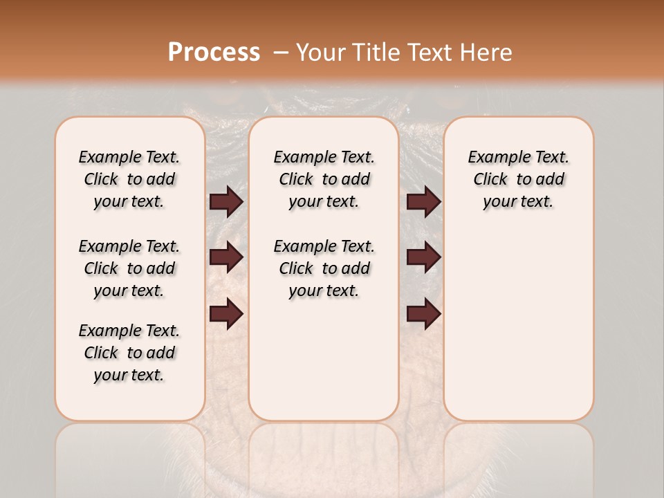Close Up Cut Out Monkey PowerPoint Template