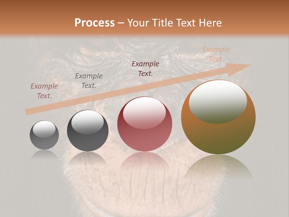 Close Up Cut Out Monkey PowerPoint Template