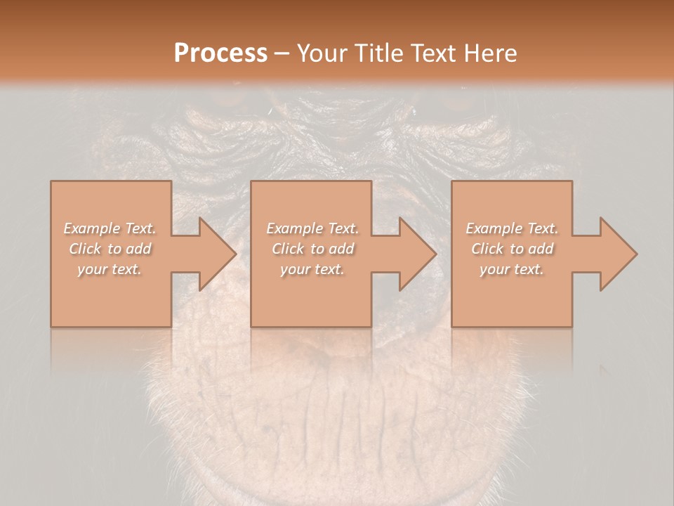 Close Up Cut Out Monkey PowerPoint Template