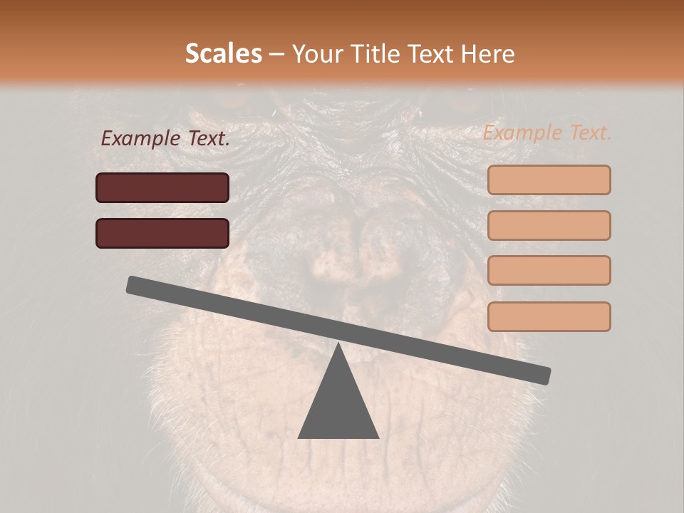 Close Up Cut Out Monkey PowerPoint Template