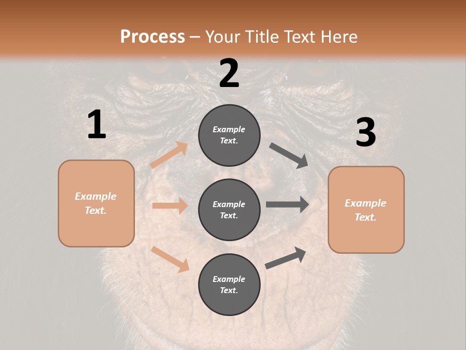 Close Up Cut Out Monkey PowerPoint Template