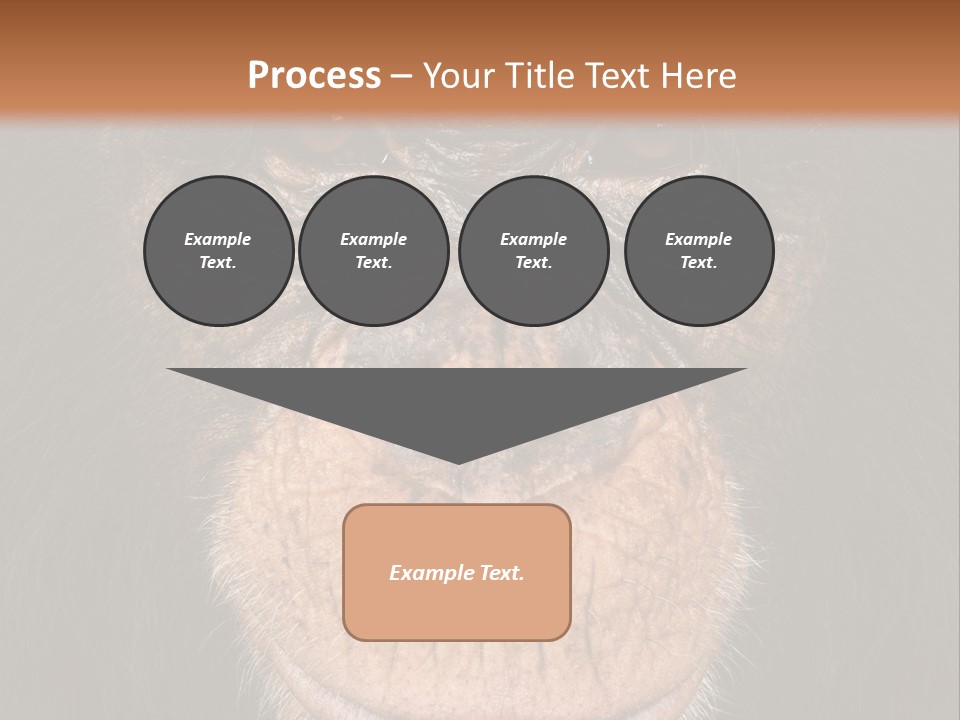 Close Up Cut Out Monkey PowerPoint Template