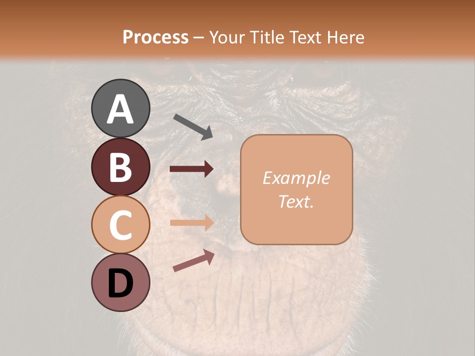 Close Up Cut Out Monkey PowerPoint Template