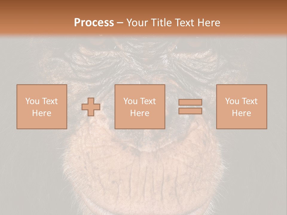 Close Up Cut Out Monkey PowerPoint Template