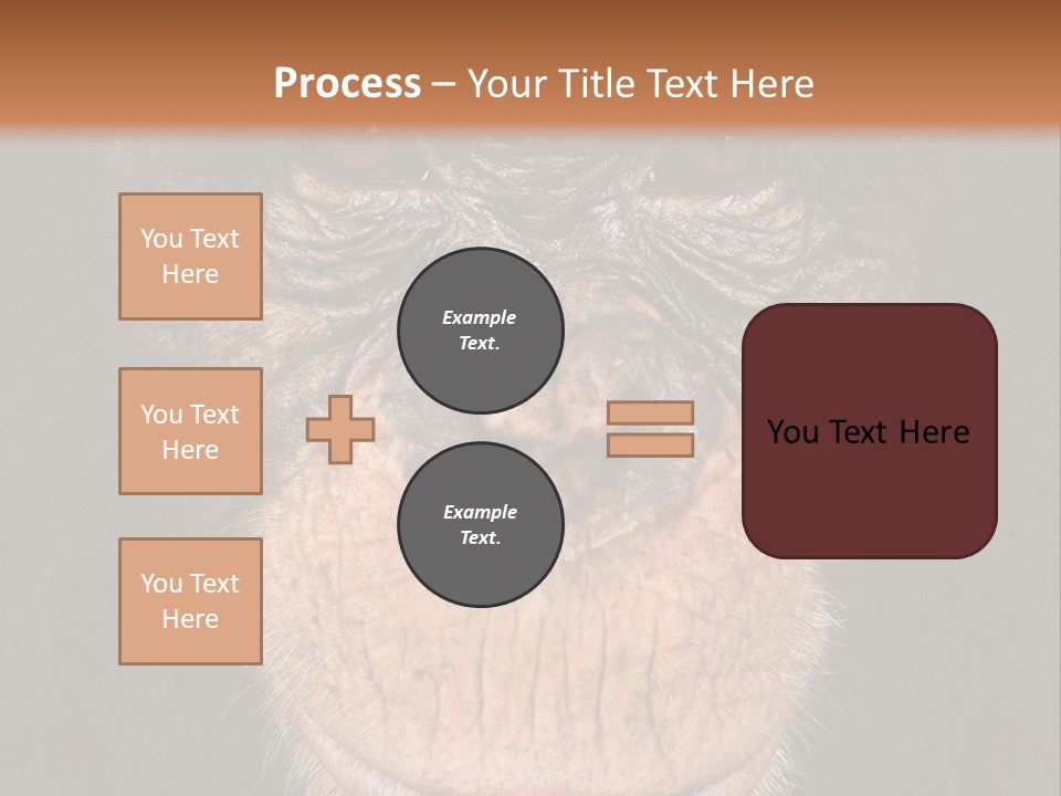 Close Up Cut Out Monkey PowerPoint Template
