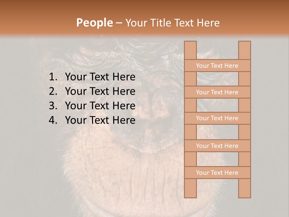 Close Up Cut Out Monkey PowerPoint Template