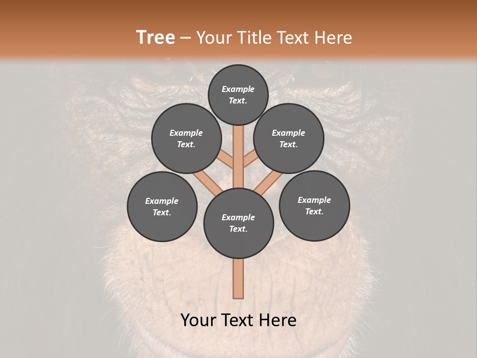 Close Up Cut Out Monkey PowerPoint Template