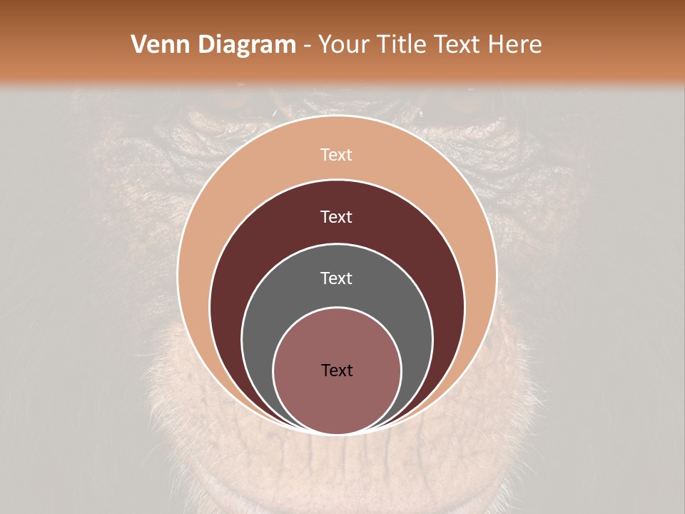 Close Up Cut Out Monkey PowerPoint Template