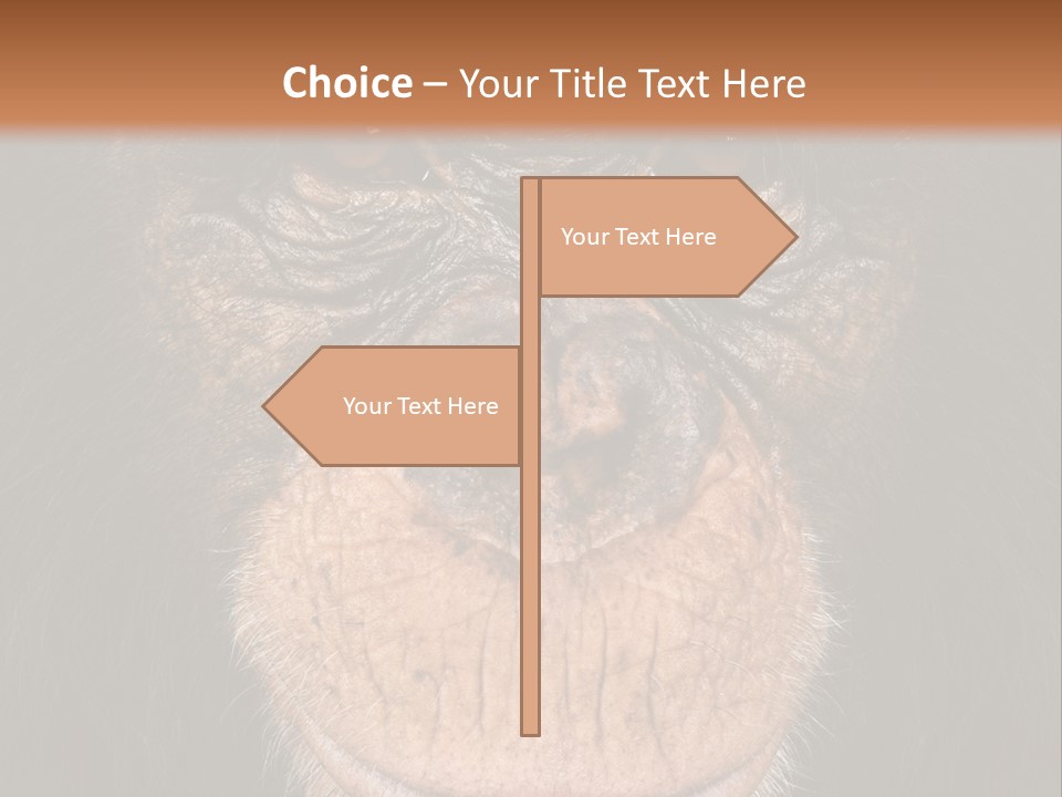 Close Up Cut Out Monkey PowerPoint Template