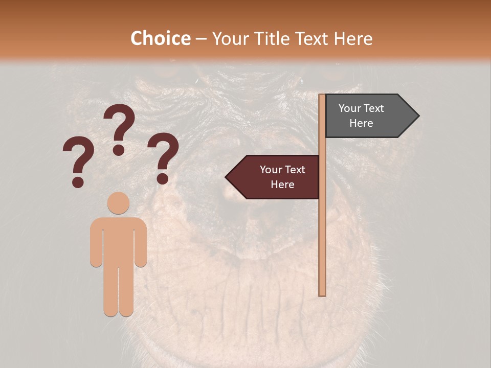 Close Up Cut Out Monkey PowerPoint Template