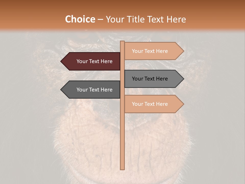 Close Up Cut Out Monkey PowerPoint Template