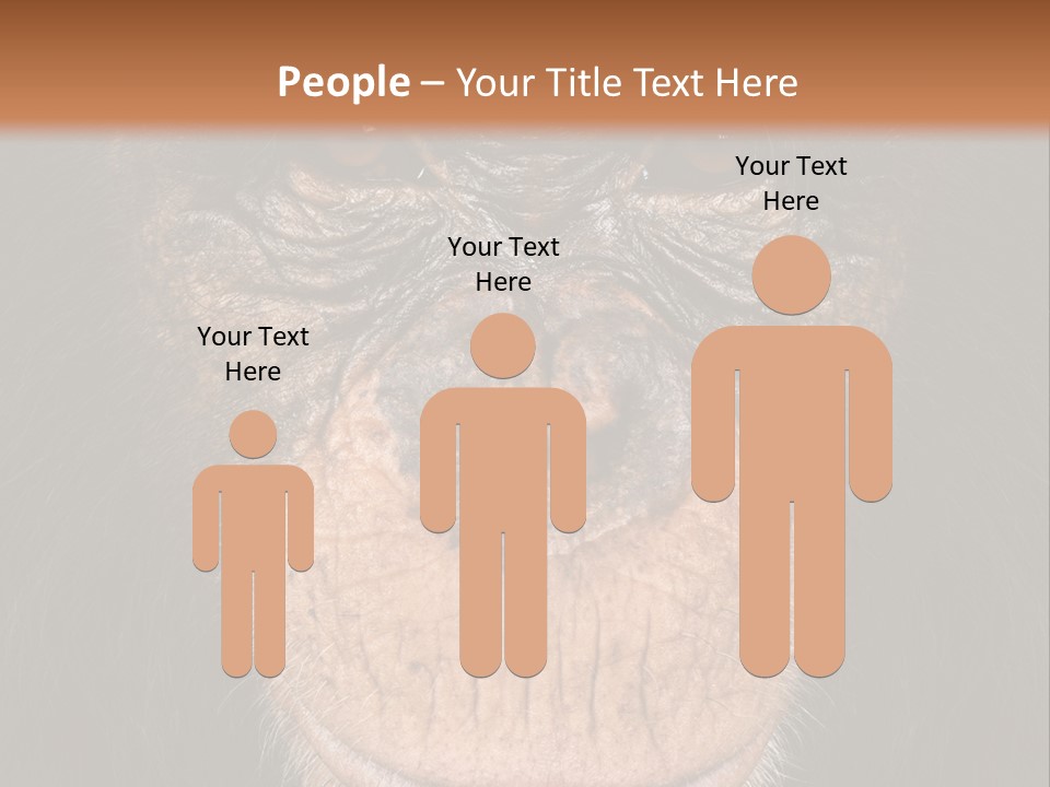 Close Up Cut Out Monkey PowerPoint Template