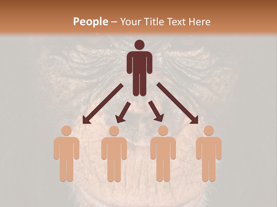 Close Up Cut Out Monkey PowerPoint Template