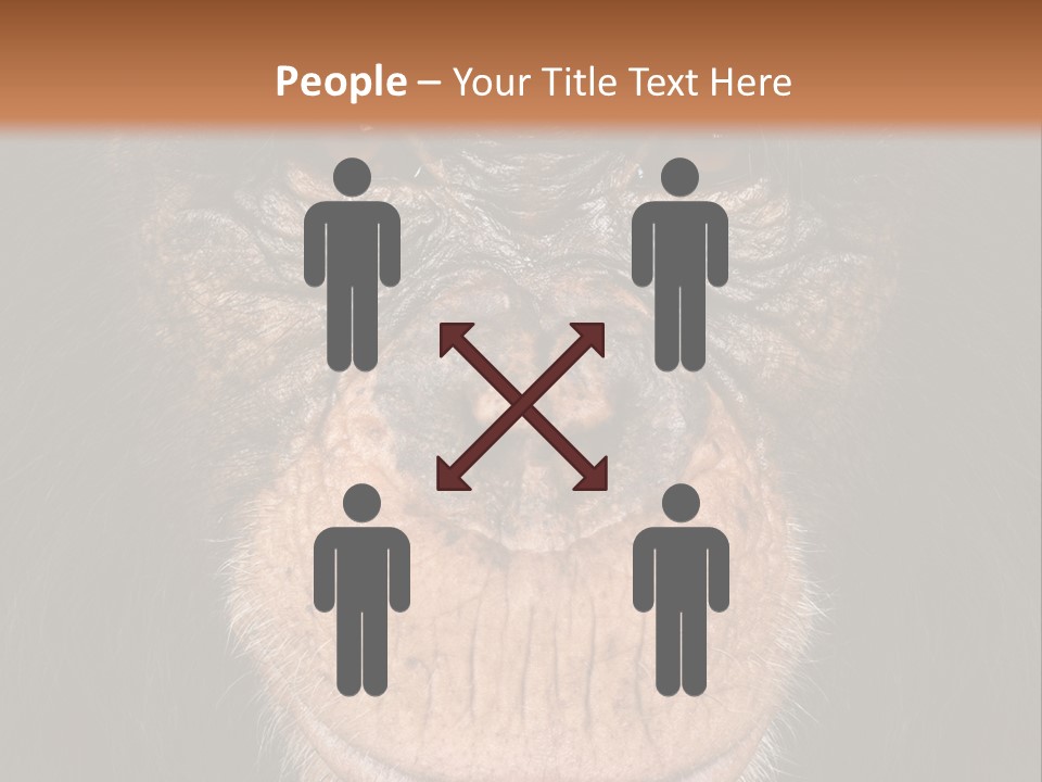 Close Up Cut Out Monkey PowerPoint Template
