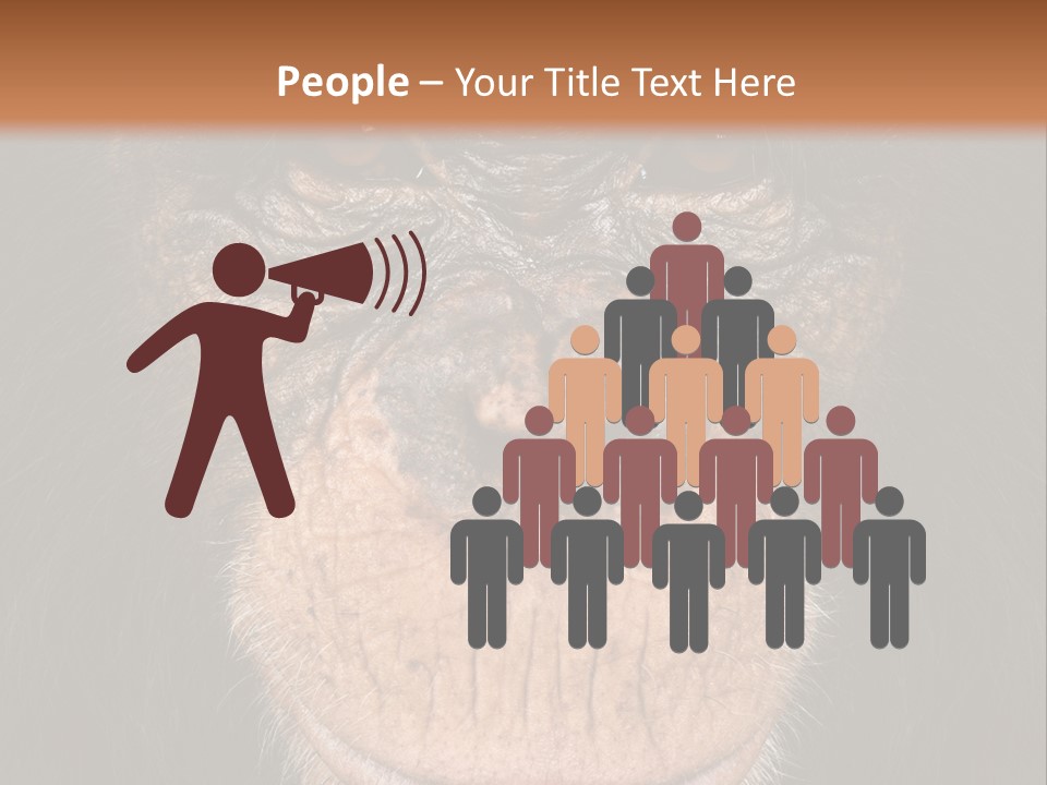 Close Up Cut Out Monkey PowerPoint Template