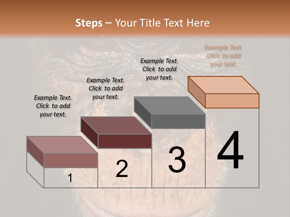 Close Up Cut Out Monkey PowerPoint Template