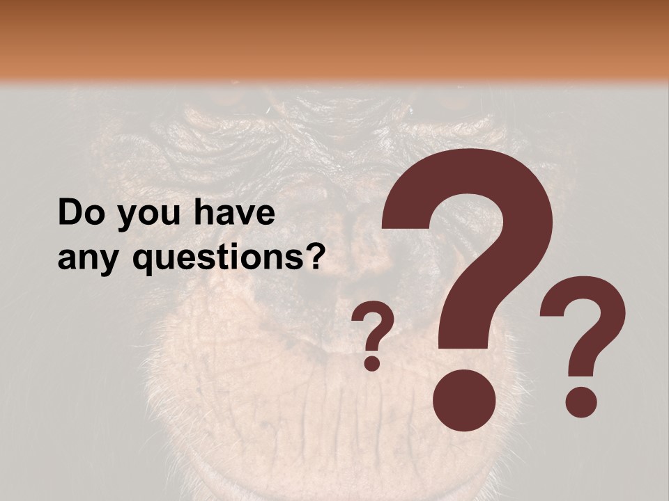 Close Up Cut Out Monkey PowerPoint Template