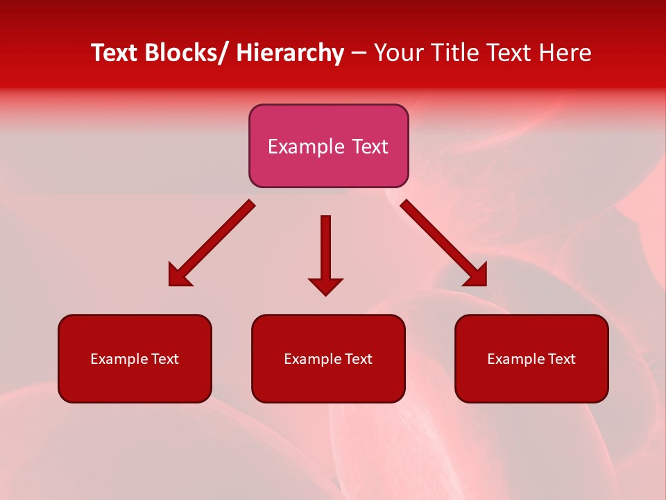 Medical Biology Brain PowerPoint Template