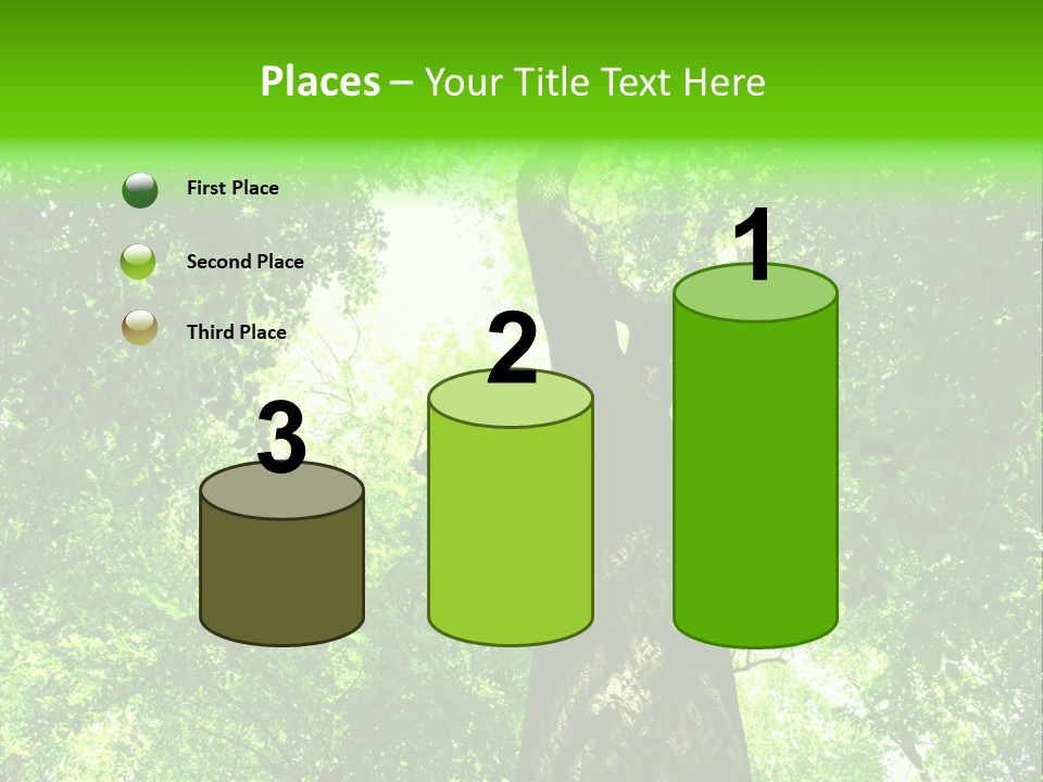 Day Landscape Deciduous PowerPoint Template