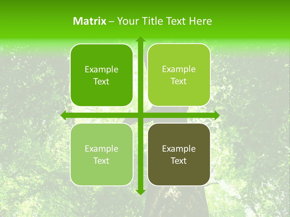 Day Landscape Deciduous PowerPoint Template