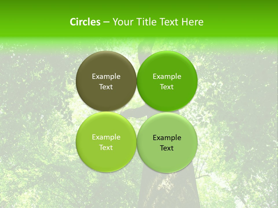 Day Landscape Deciduous PowerPoint Template