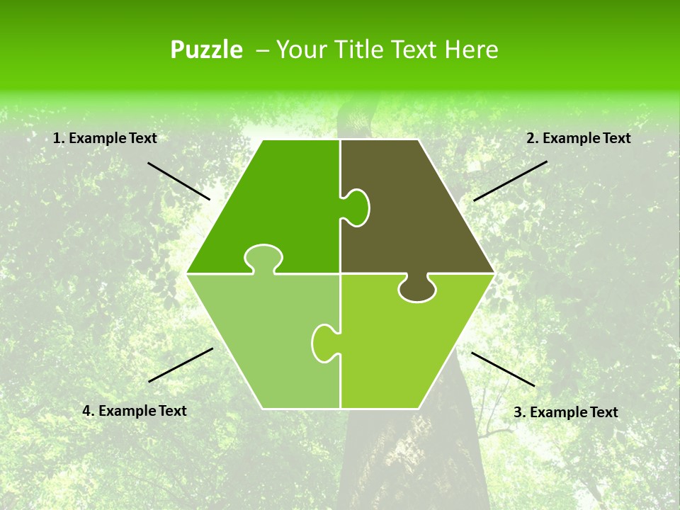 Day Landscape Deciduous PowerPoint Template