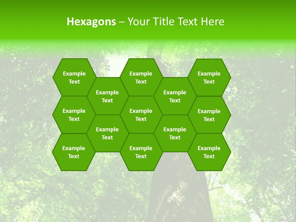 Day Landscape Deciduous PowerPoint Template