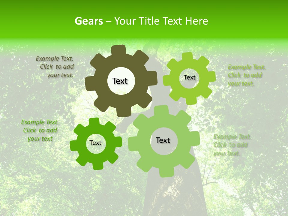 Day Landscape Deciduous PowerPoint Template