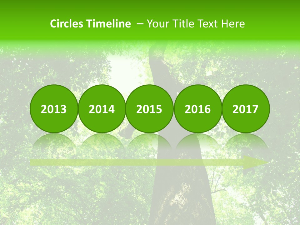 Day Landscape Deciduous PowerPoint Template