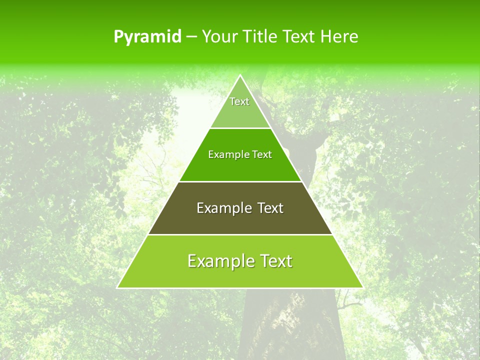 Day Landscape Deciduous PowerPoint Template