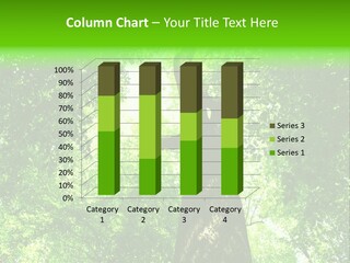 Day Landscape Deciduous PowerPoint Template