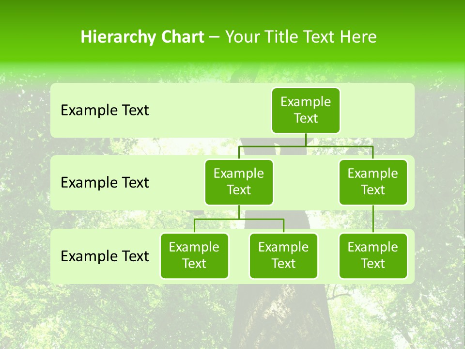 Day Landscape Deciduous PowerPoint Template