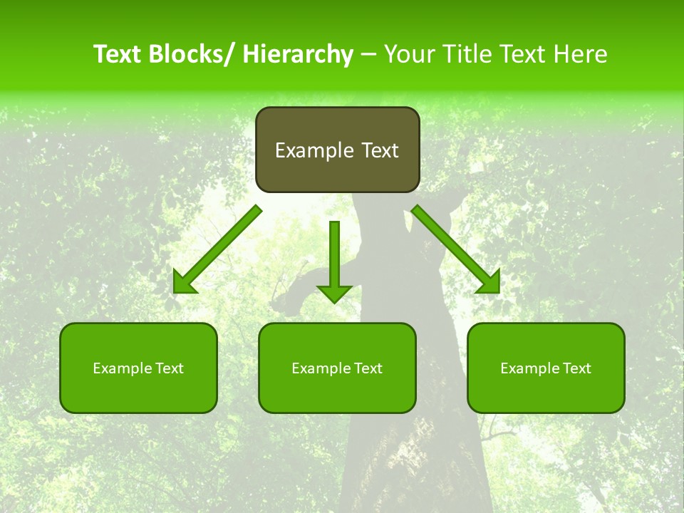 Day Landscape Deciduous PowerPoint Template