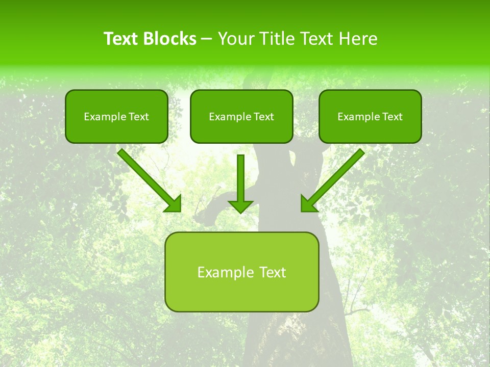 Day Landscape Deciduous PowerPoint Template