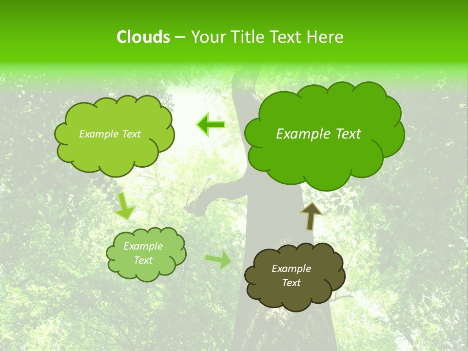 Day Landscape Deciduous PowerPoint Template