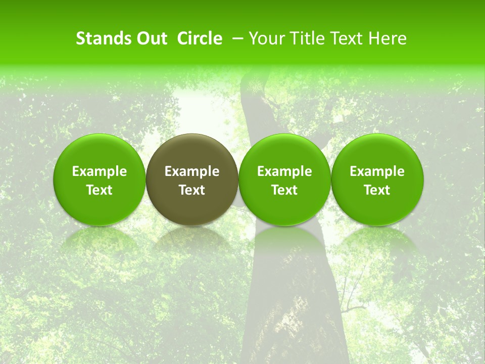 Day Landscape Deciduous PowerPoint Template