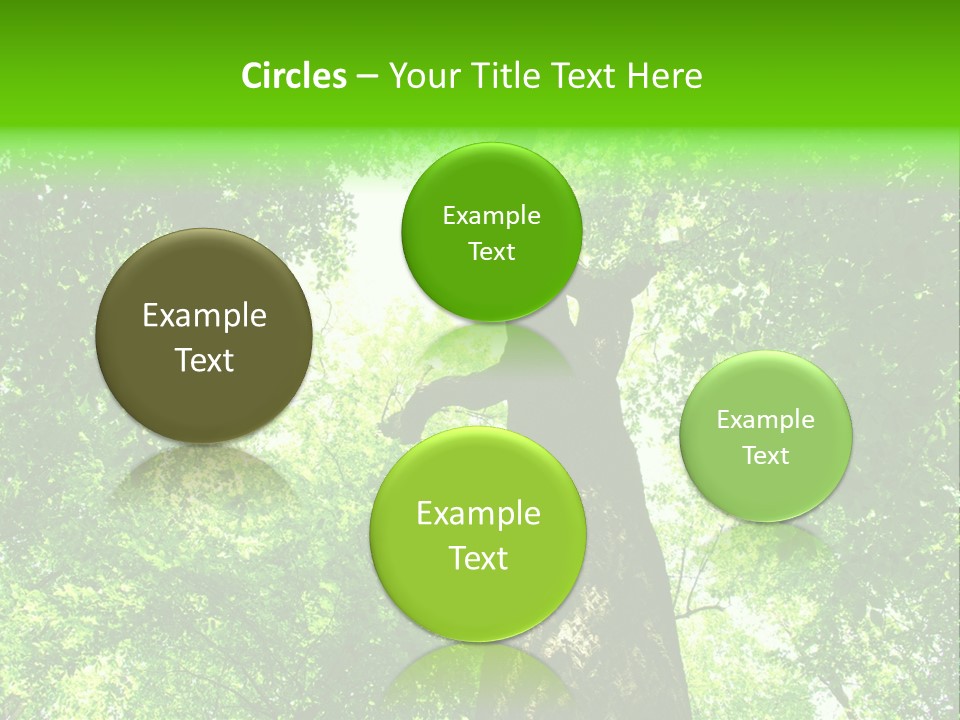 Day Landscape Deciduous PowerPoint Template