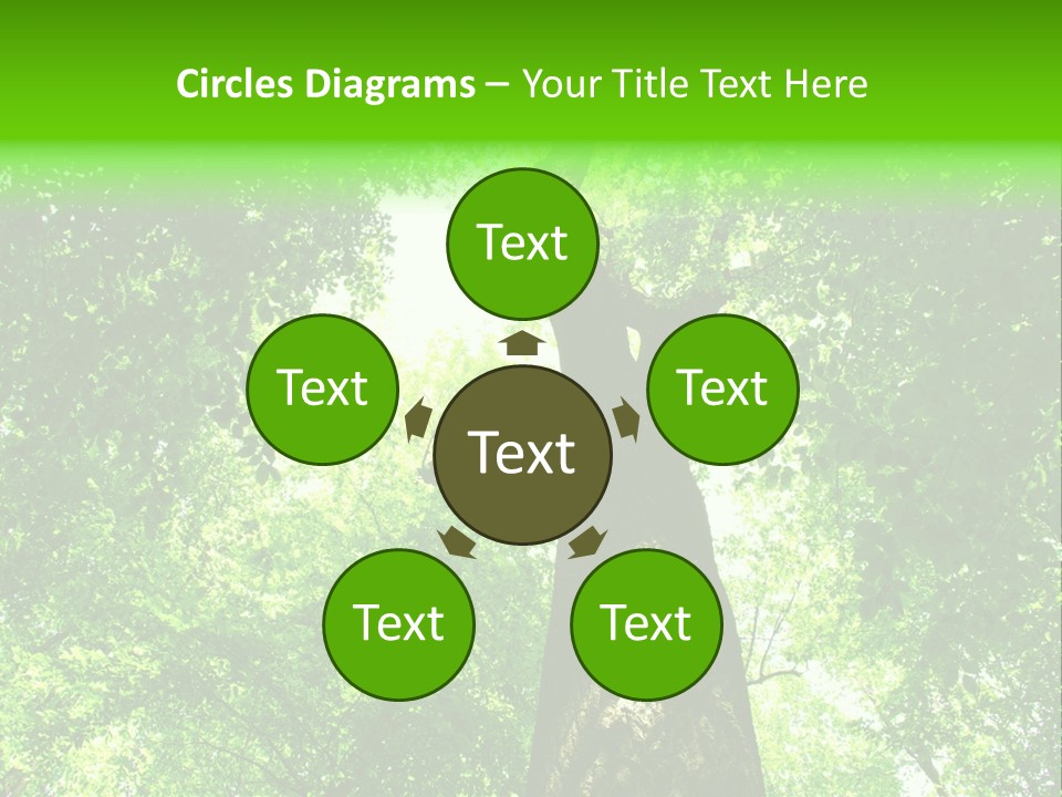 Day Landscape Deciduous PowerPoint Template