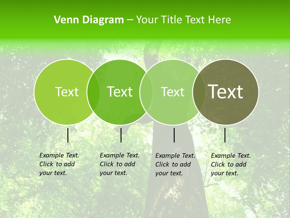 Day Landscape Deciduous PowerPoint Template