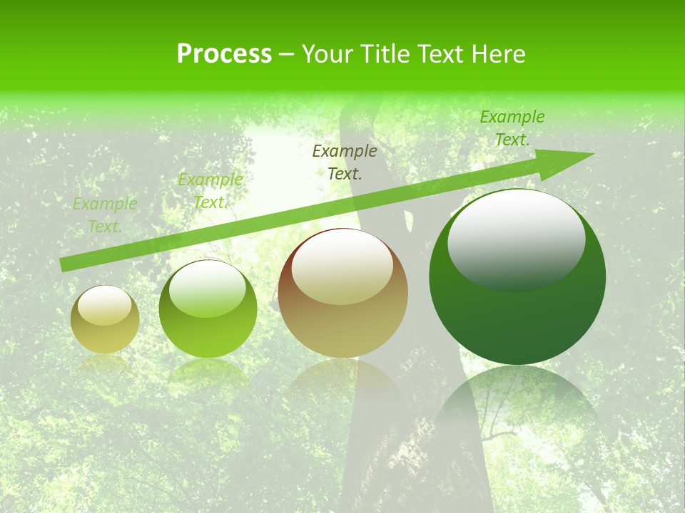 Day Landscape Deciduous PowerPoint Template
