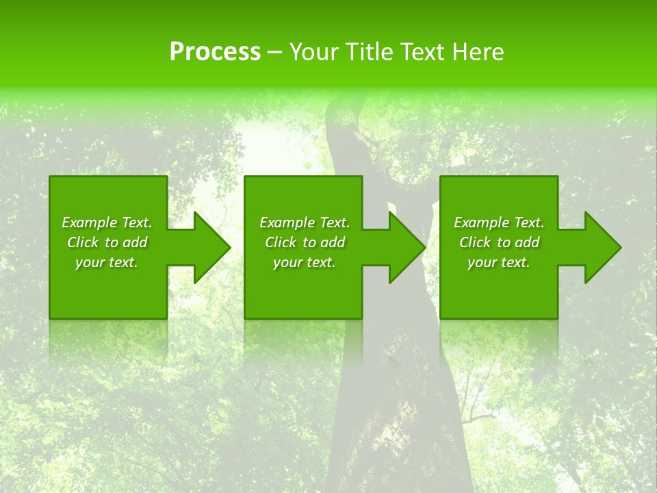 Day Landscape Deciduous PowerPoint Template
